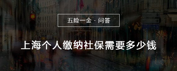 上海个人缴纳社保需要多少钱